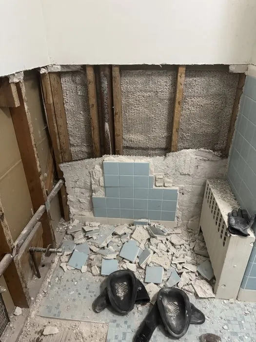Bathroom Gut and Rebuild — C P Renovations project photo 1