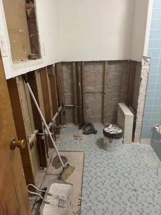 Bathroom Gut and Rebuild — C P Renovations project photo 2