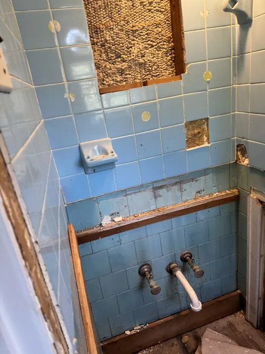 1950s Bath + Basement Finish — C P Renovations project photo 1