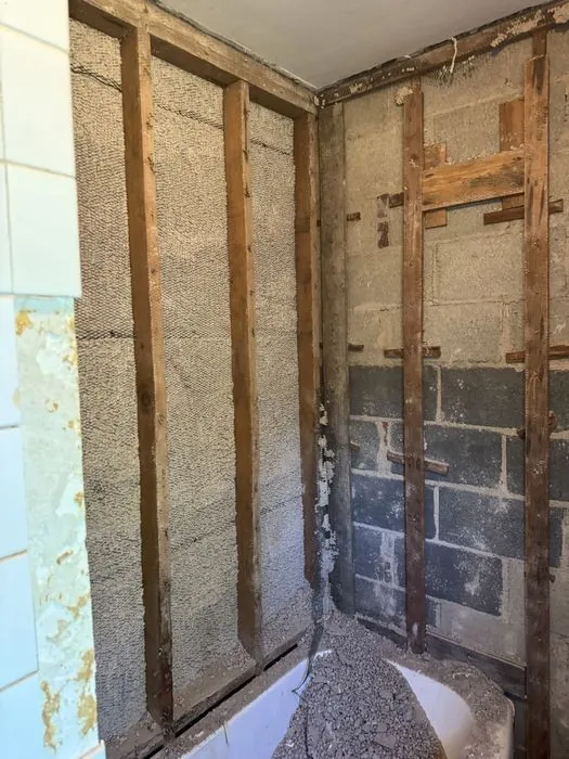 1950s Bath + Basement Finish — C P Renovations project photo 2