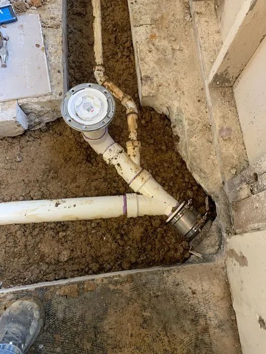 Whole-Home Gut Renovation — C P Renovations project photo 1