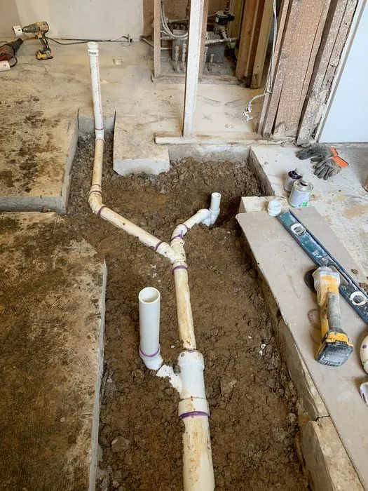 Whole-Home Gut Renovation — C P Renovations project photo 3
