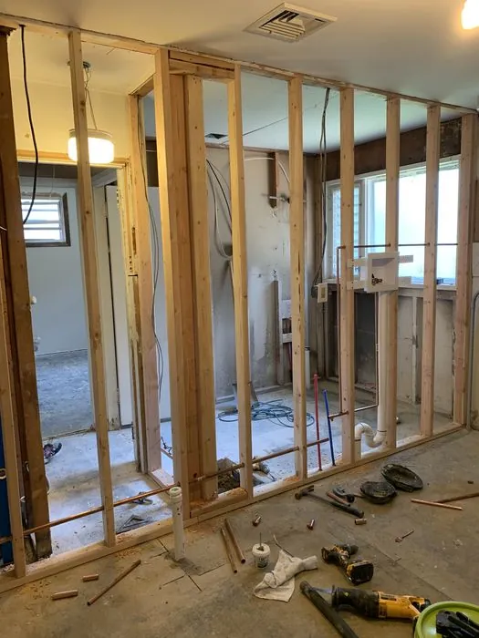 Whole-Home Gut Renovation — C P Renovations project photo 9