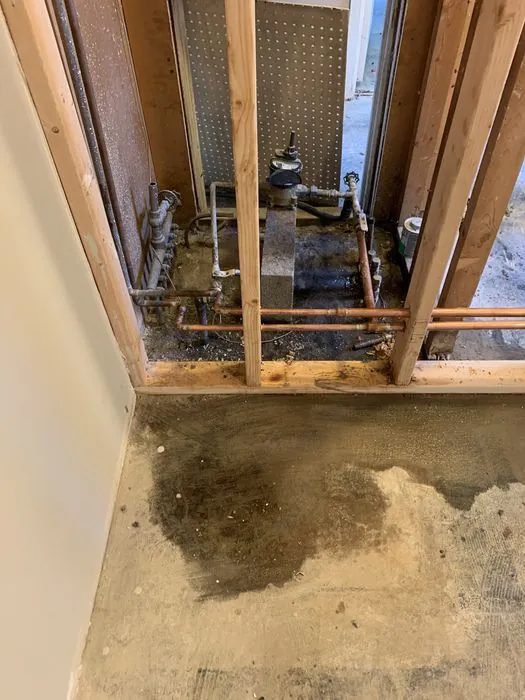 Whole-Home Gut Renovation — C P Renovations project photo 10