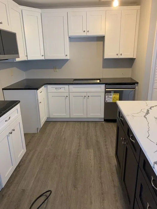 Whole-Home Gut Renovation — C P Renovations project photo 22