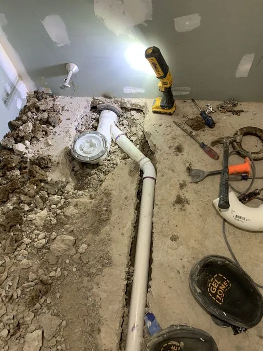 Two Bathrooms, Down to the Dirt — C P Renovations project photo 2