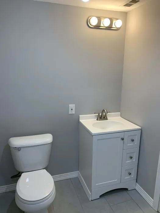 Two Bathrooms, Down to the Dirt — C P Renovations project photo 12