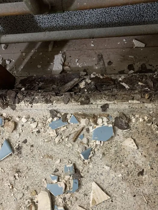 Two Bathrooms, Down to the Dirt — C P Renovations project photo 14