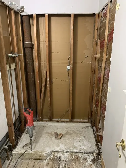 Two Bathrooms, Down to the Dirt — C P Renovations project photo 15