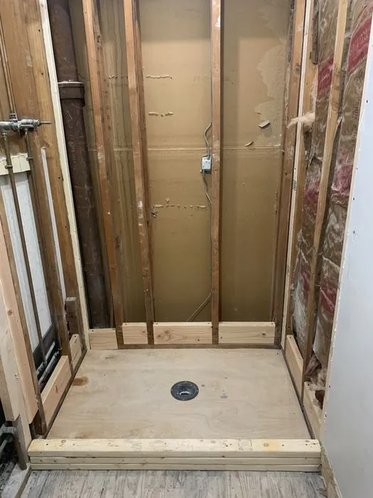 Two Bathrooms, Down to the Dirt — C P Renovations project photo 17