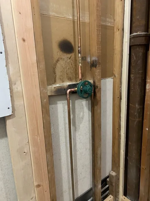 Two Bathrooms, Down to the Dirt — C P Renovations project photo 18