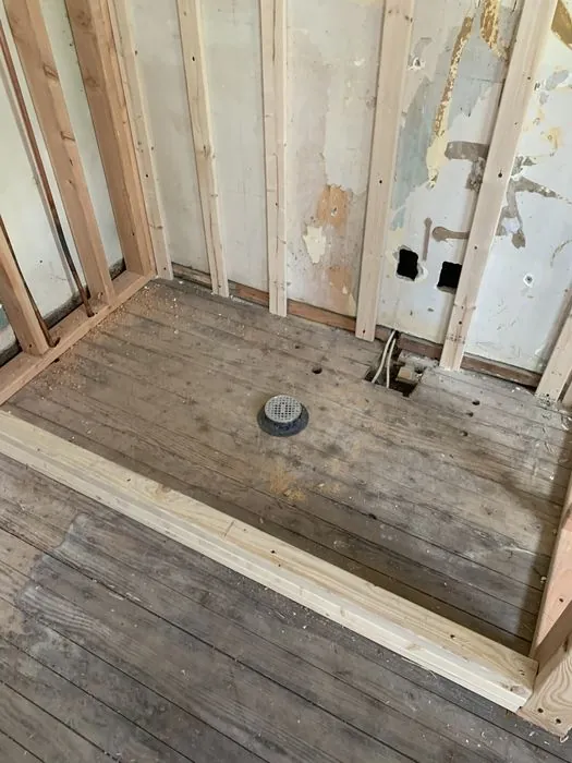 Designer Shower and Hex Tile Bath — C P Renovations project photo 1